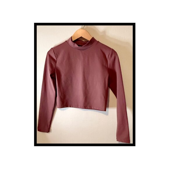 Rose Colored Long Sleeve Crop Top with Mandarin Collar - Picture 1 of 4